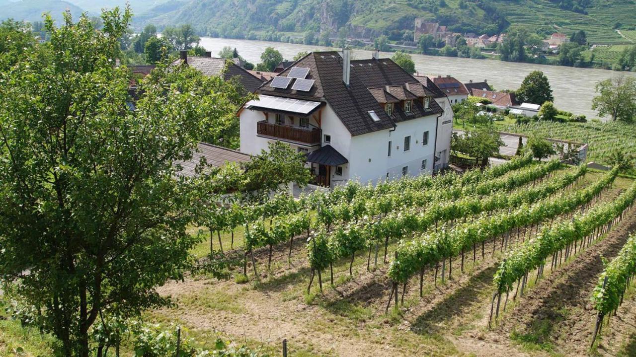 Weingut & Gaestezimmer Pammer Mitterarnsdorf Exterior foto