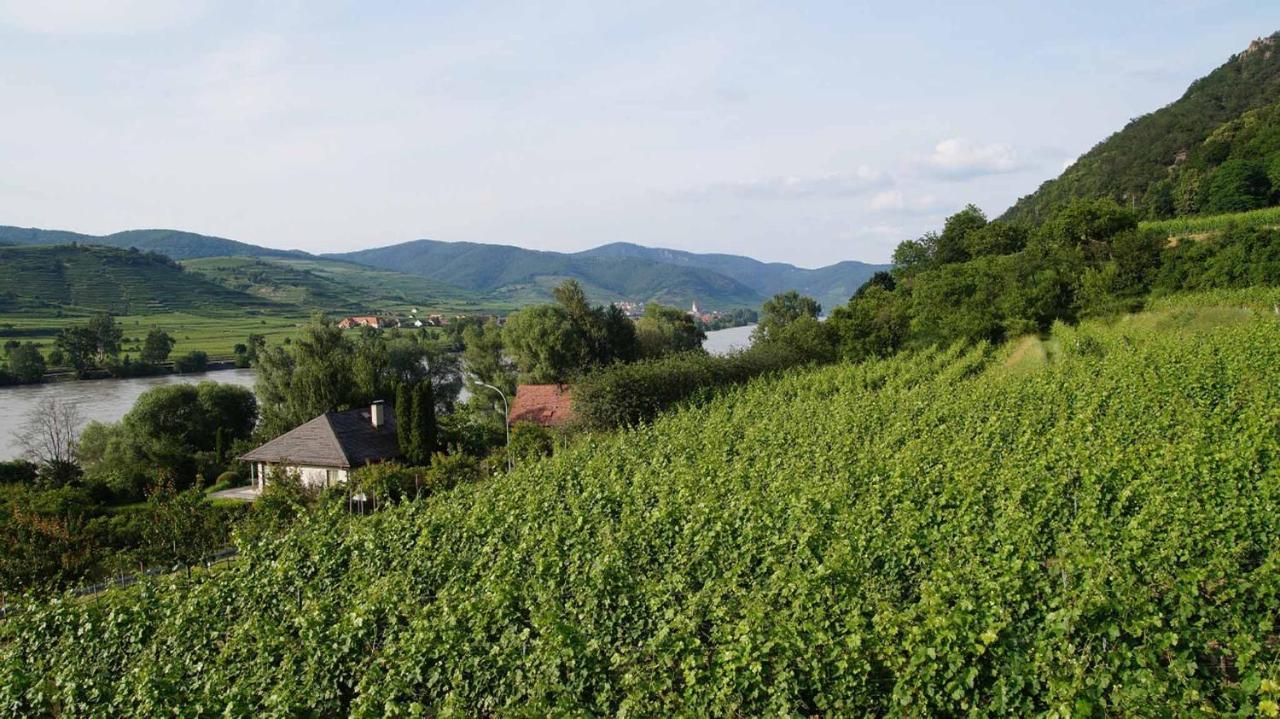 Weingut & Gaestezimmer Pammer Mitterarnsdorf Exterior foto