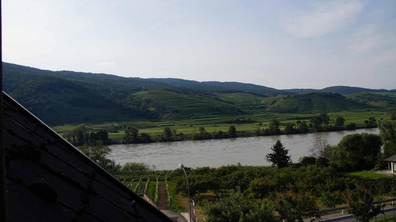 Weingut & Gaestezimmer Pammer Mitterarnsdorf Exterior foto